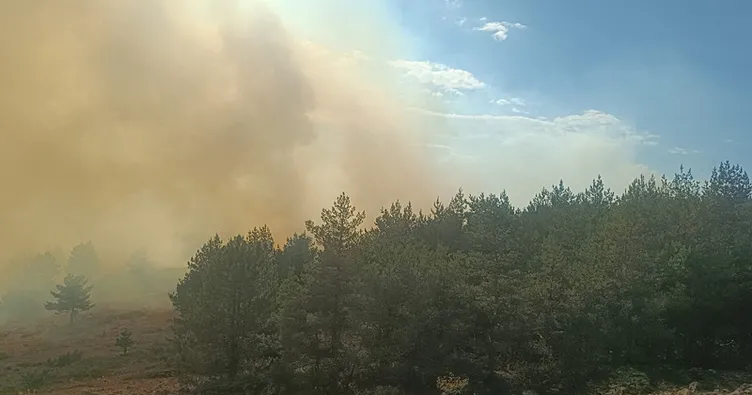Bolu’da orman yangını!