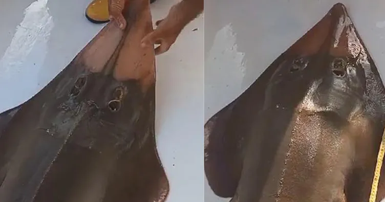 Yer Antalya: İnsan yüzlü balık yakaladı