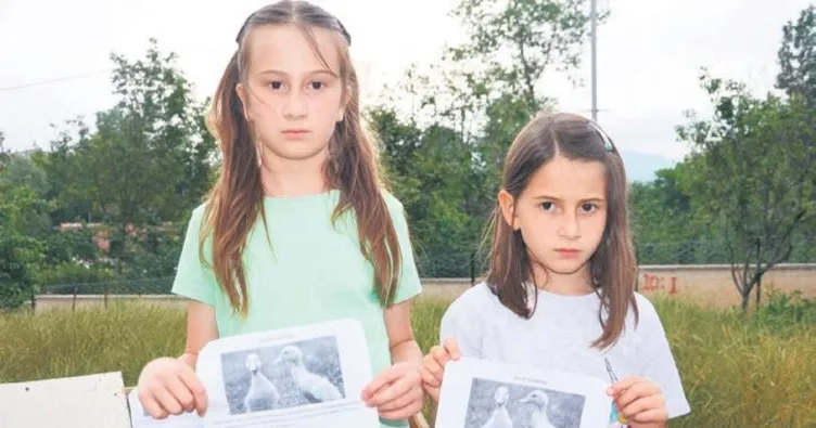 ‘Ördeklerimizi de bulur musun?’