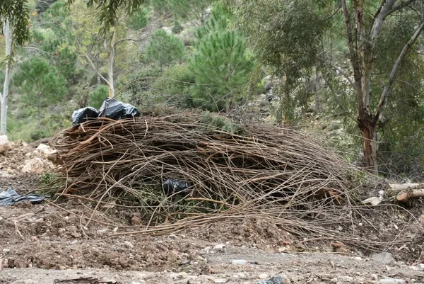izmir-buyuksehirden-baris-mancoya-buyuk-saygisizlik-1704528661226.jpg