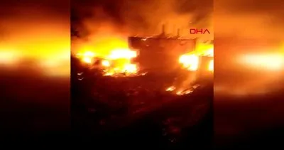 Kastamonu’da korku dolu anlar... 6 kardeşe ait 6 evde aynı anda yangın | Video