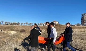 Ankara’da sokak köpekleri dehşeti: 13 yaşındaki çocuğa saldırdılar! #ankara