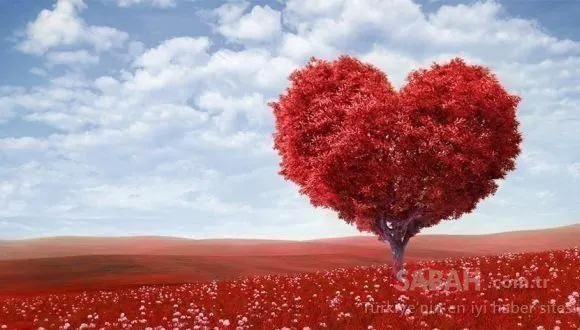 Romantik Sevgililer Günü mesajları ve sözleri burada! 14 Şubat Sevgililer Günü romantik sözler ve mesajlar için tıklayınız...