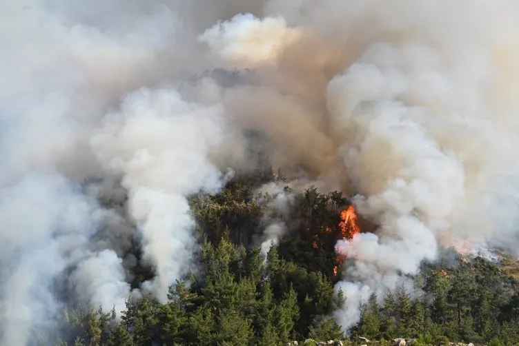 SON DAKİKA! İzmir ve Bolu’da orman yangını: Alevlere havadan ve karadan müdahale!