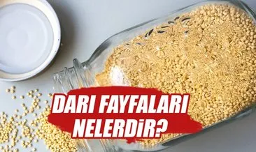 Darı nedir? Darı faydaları nelerdir?