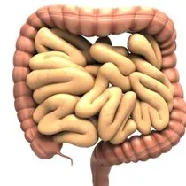 bagirsak dugumlenmesi nedenleri belirtileri ve tedavisi nelerdir saglik haberleri