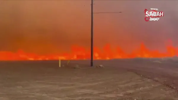 Arizona'da orman yangını şiddetli rüzgarın etkisiyle giderek yayılıyor | Video