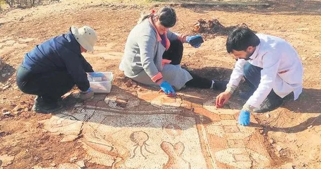 Kaçak kazıdan saray yavrusu çıktı