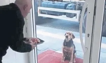 Yeşim’den sonra sıra Nazike’de