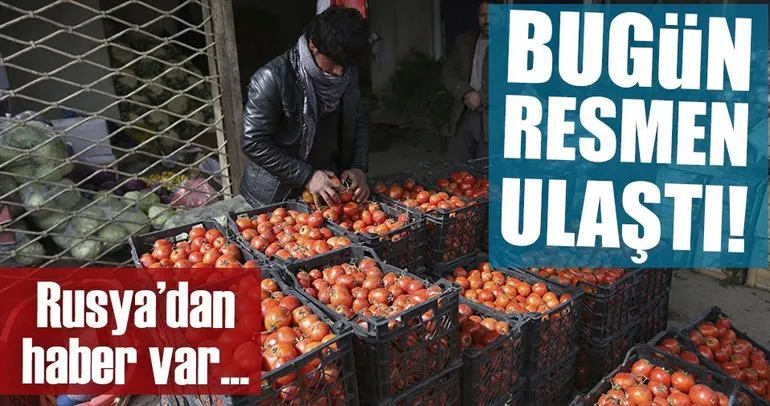 Türkiye’de üretilen domatesler yaklaşık 2 yıl sonra yeniden Rusya’da