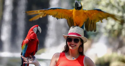 Düden Şelalesi’ne ziyaretçi ilgisi