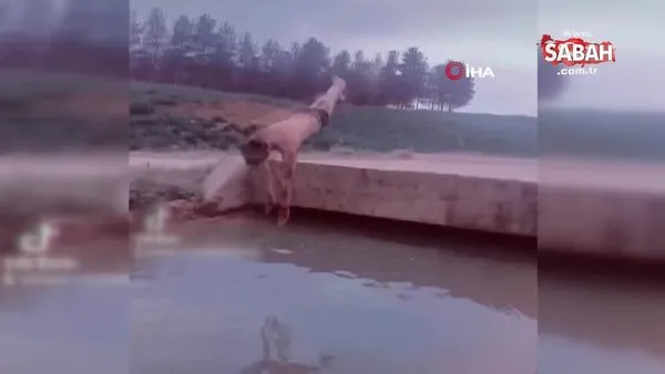TikTok videosu çekmek için atladığı su kanalından cansız bedeni çıkartıldı | Video