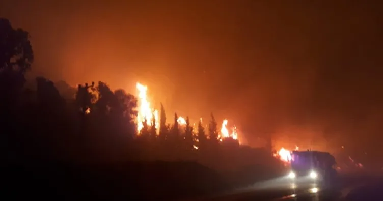 Menderes’te orman yangını