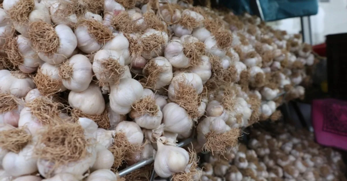 ruyada sarimsak gormek ne anlama gelir ruyada sarimsak gormenin manasi ruya tabirleri haberleri