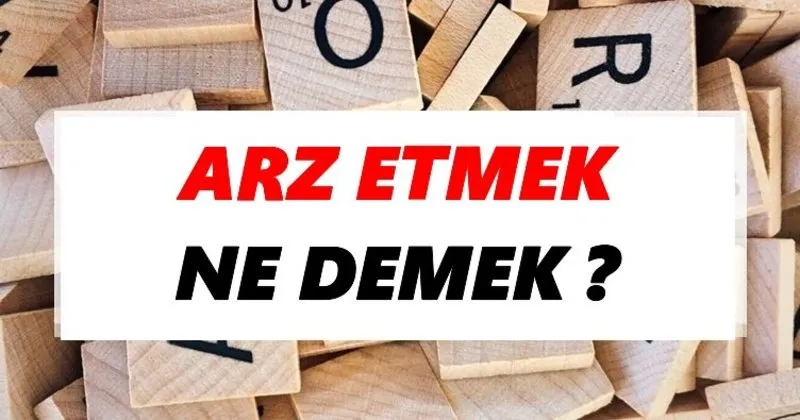 gündelik arkadaş mallorca