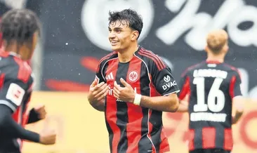 Aslan canlanacak!