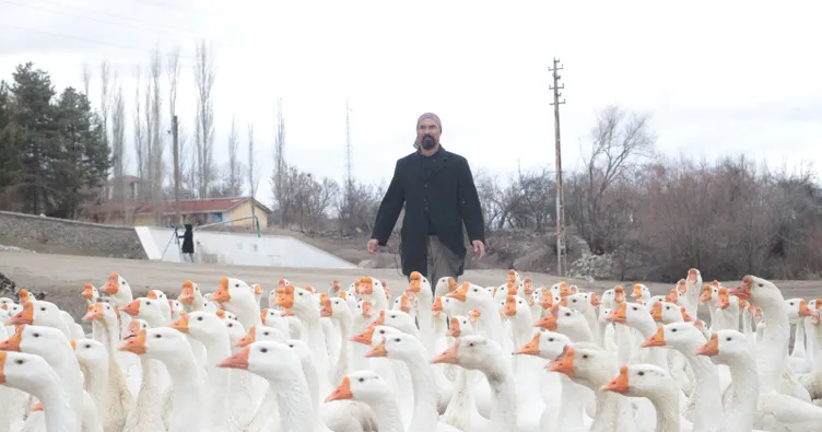 Mühendisliği bırakıp kaz çiftliği kurdu