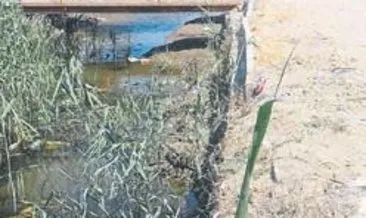 ruyada dere gormek ne anlama gelir haberleri son dakika ruyada dere gormek ne anlama gelir gelismeleri