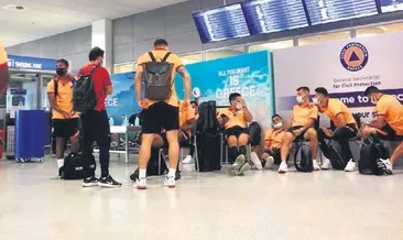 Küstahlığa aslan tokadı