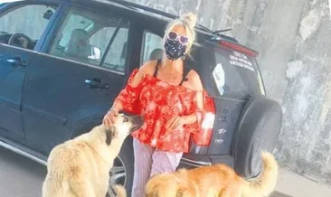 Başkentte yine köpek katliamı