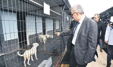 Pitbull’lara müebbet #edirne Pitbull’lara müebbet #edirne