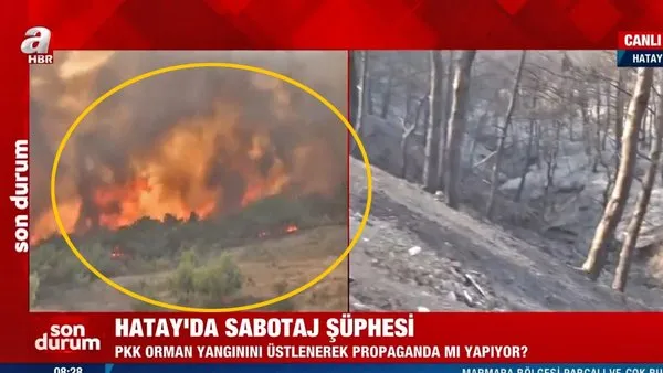 Son dakika haberi... Hatay'da orman yangınları nasıl çıktı? Gözaltına alınan 2 kişinin... | Video