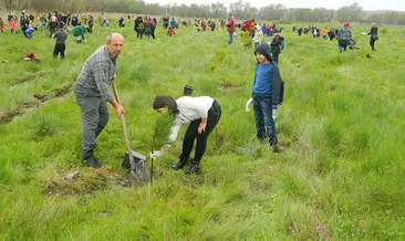 Küçük eller fidan diker