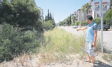 Sinek eziyeti artarak sürüyor