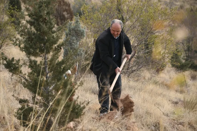 Çorak arazileri ormana dönüştürüyor: Bu benim için hobi değil yaşam tarzı
