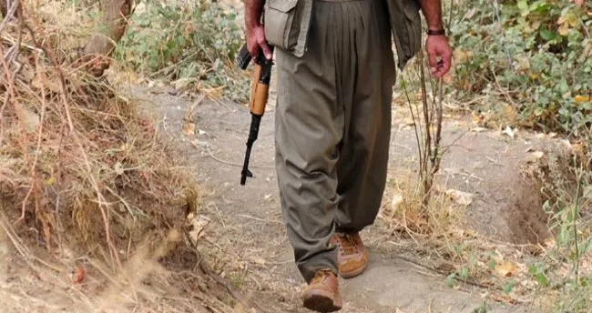 Çukurca’da 2 PKK’lı terörist teslim oldu