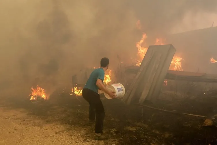 Portekiz'de büyük orman yangını!