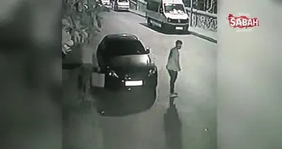Hırsızlık yapan şahıslar önce kameralara sonra polislere yakalandı | Video