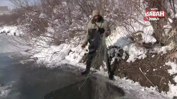 Yüksekova’da buz tutan derede ’eskimo usulü’ balık avı | Video