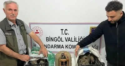 Bingöl’de yasa dışı keklik avı: 23 keklik ele geçirildi, 1 kişiye 34 bin 500 TL ceza
