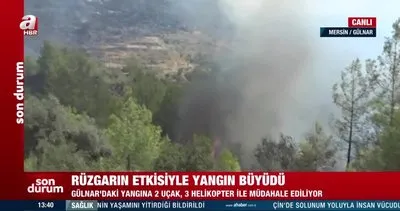 Son Dakika: Mersin Gülnar’da orman yangını! 110 ev tahliye edildi | Video
