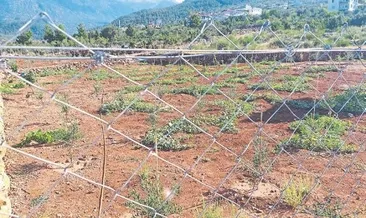 Su krizi devam ediyor