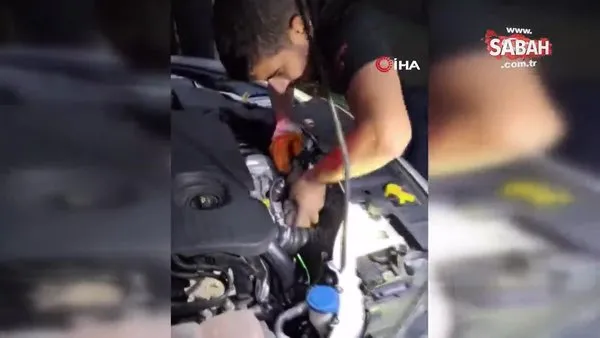 Bingöl’de otomobilin motor kısmına giren yavru kediyi itfaiye çıkardı | Video