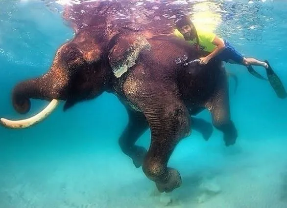 Dubai Prensi'nin birbirinden çılgın fotoğrafları!