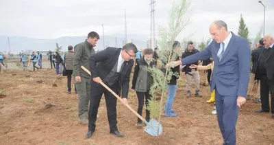 Milli Ağaçlandırma Günü’nde Cizre’de fidanlar toprakla buluştu #sirnak