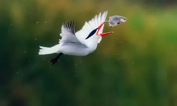 Dünyadan sıcak fotoğraflar