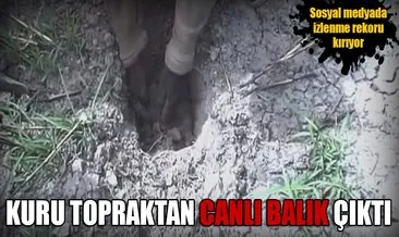 topragin altindan canli balik cikti sayfa 4 son dakika haberler