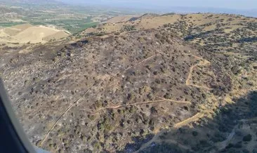 Muğla’da ormanlara giriş yasaklandı! Yangın sezonu boyunca sıkı tedbirler alındı #mugla
