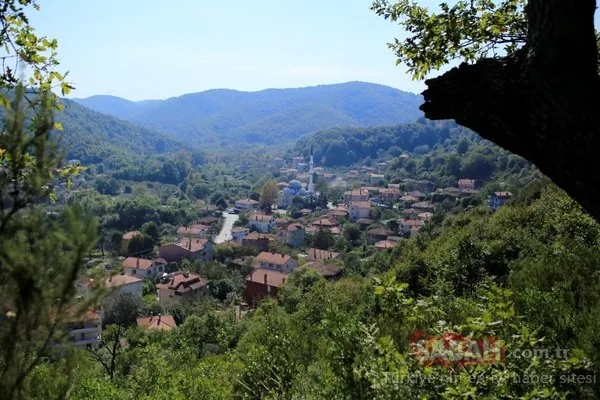 Şile Belediyesi Foto Safari kış etabı başlıyor!