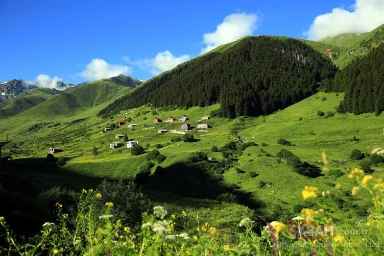 O bölgede dev turizm merkezi oluÅturuluyor! 11 yeni 'Ayder' bulundu!