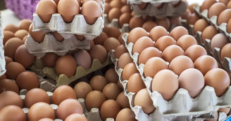 Organik yumurtayı ayırt etme yolları