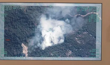 Karpuzlu’da orman yangını