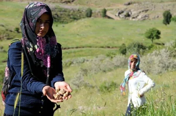 Son 24 saatte yurtta 3. sayfa haberleri (15.06.2015)