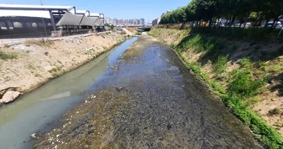 Haliç’ten kokular yükseliyor... Ekrem İmamoğlu’na tepki yağdı: Şoke eden İSKİ detayı!