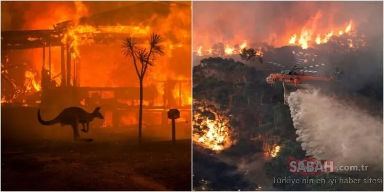 Son Dakika: Avustralya’daki yangın ile ilgili korkutan açıklama! Avustralya’daki yangın neden söndürülemiyor?