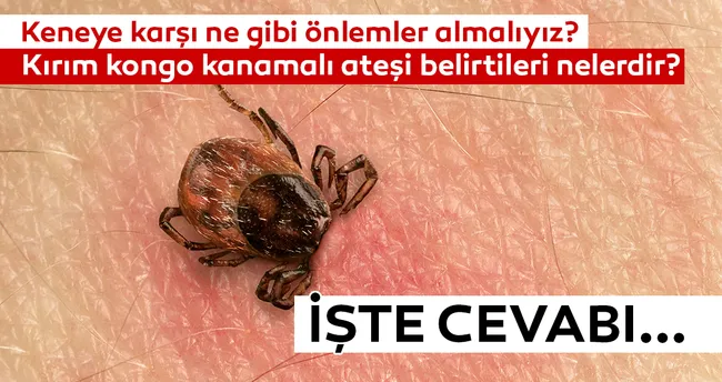Kene ısırması ve kırım-kongo kanamalı ateşi belirtileri nelerdir? Keneye karşı ne gibi önlemler almalıyız?